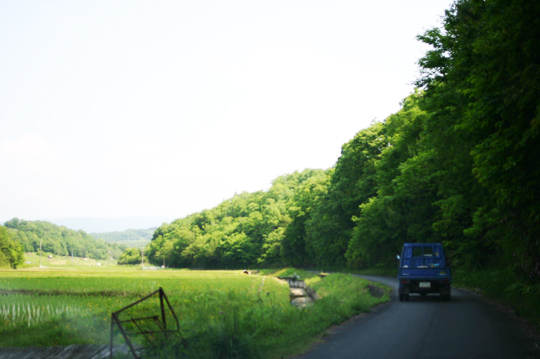 タツミ茶園｜ブランディング・アートディレクション