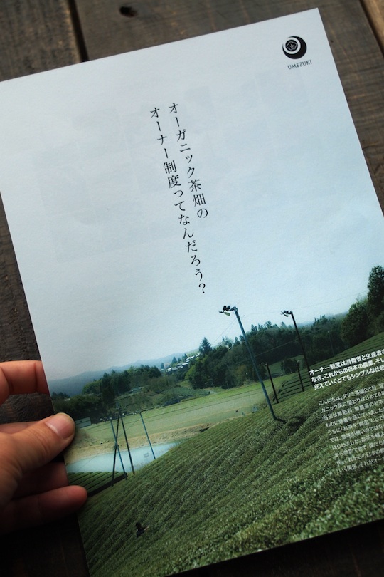 オーガニック茶畑のオーナー制度