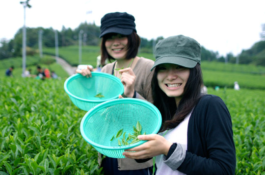 農業ブランディングデザイン