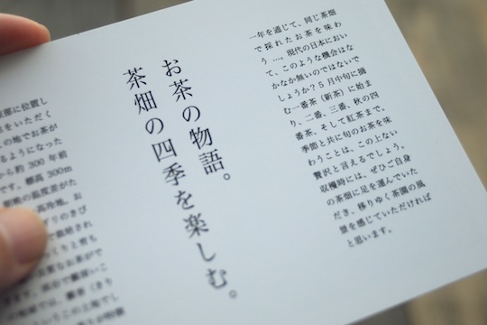 お茶の物語 茶畑の四季を楽しむ