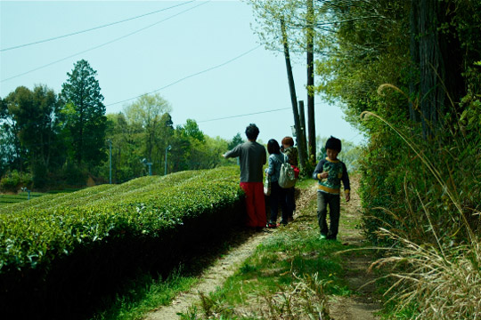 農業ブランディングデザイン