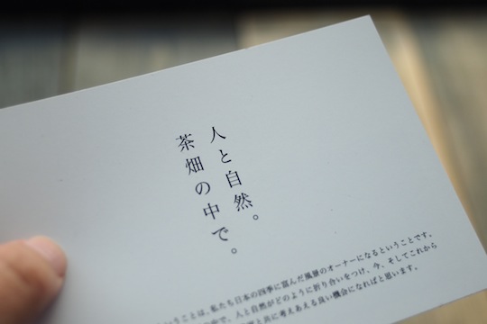 人と自然茶畑の中で